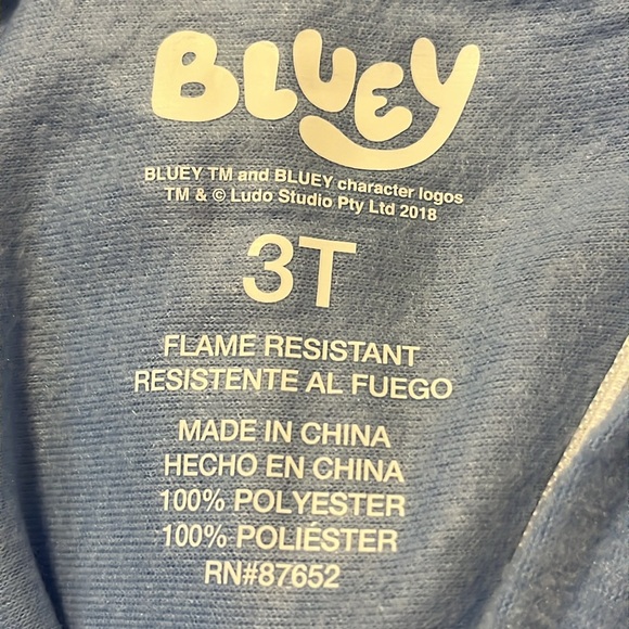 NWT BLUEY BLANKET SLEEPER WITH CAP Toddler 3T SOFT FLEECE PAJAMA - Picture 6 of 9